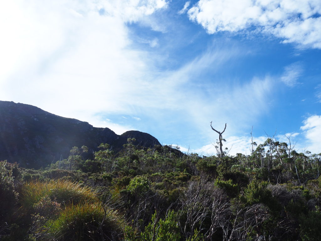 Blue skies over Cradle Mountain