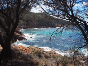 The coastline of Sleepy Bay in the Freycinet National Park