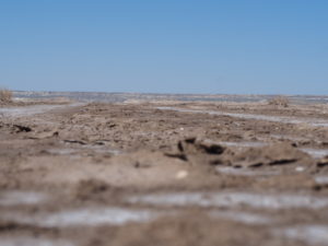 Standing on what used to be the bottom of the Aral Sea