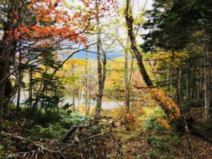 Gorgeous autumn colours on the Shiretoko Goko hike, Shiretoko National Park, Hokkaido