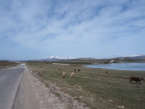 Just after re-entering Georgia from Armenia