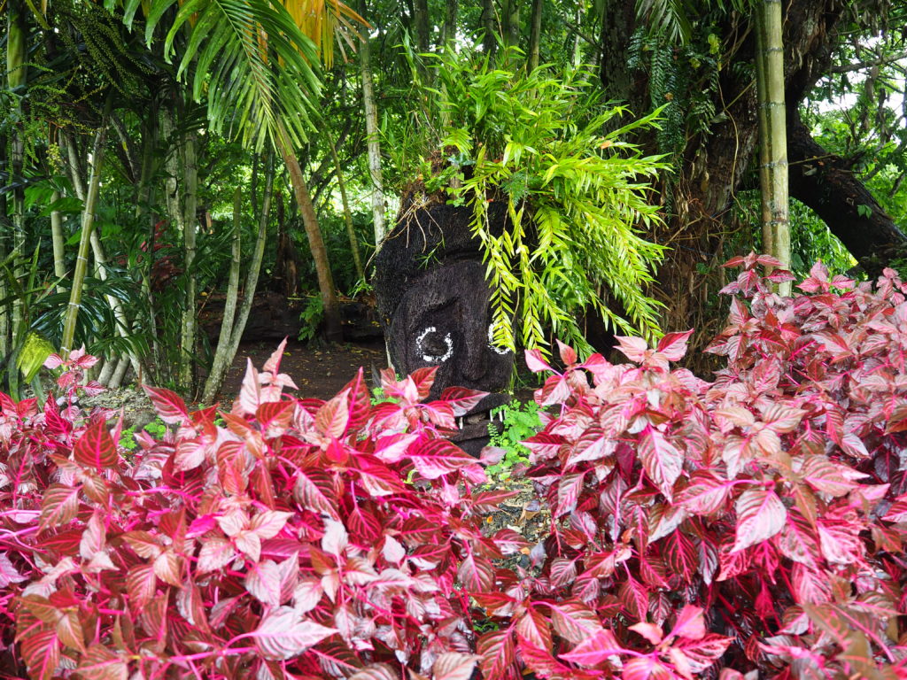 Diving in Taveuni, dive resort