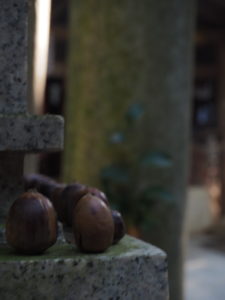 Offerings at one of Inari's many shrines