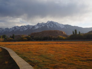 Checking out grasslands and snowcapped mountains in Tashkurgan