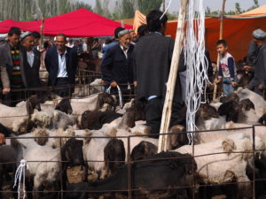 An auction at Kashgar's Sunday Livestock Market