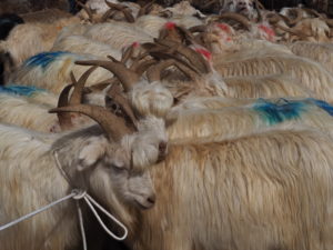 Kashgar's legendary Sunday Market