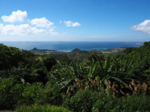 Kenting forrest park views