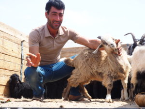 Livestock Market in Ashgabat