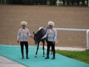Winning Horse Ashgabat