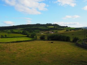 Hiking in Crossthwaite