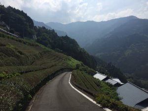 narrow-road-iya-valley