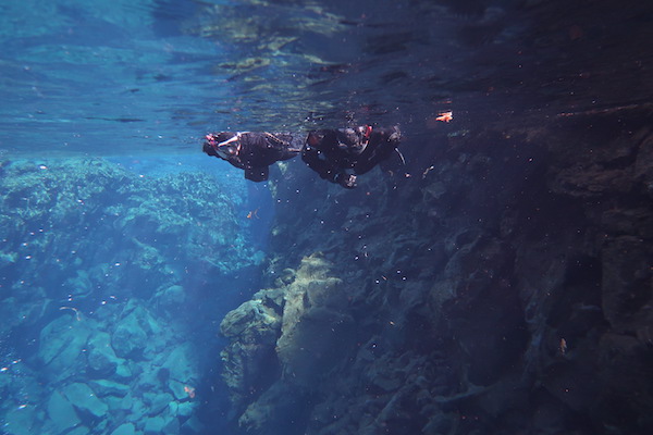 Snorkelling Silfra