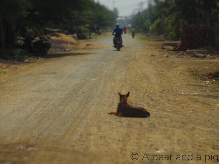 2 Days in Battambang