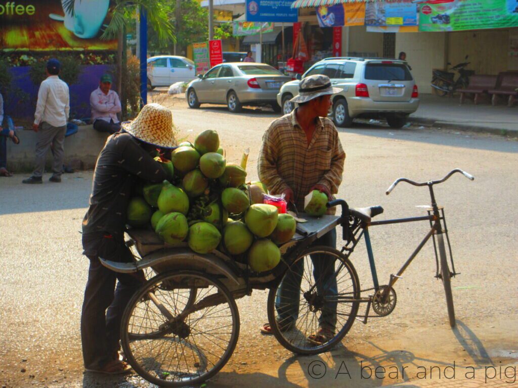 Selling coconuts
